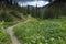 Hiking trail in Colorado Rocky Mountains