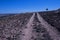 HIKING TRAIL ON THE CONTOUR OF A HILL WITH TREE ON HORIZON