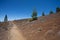 Hiking trail through desolate volcanic landscape