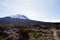 hiking trail with a direct view of the kilimanjaro above the shira camp. Adventure trekking in Tanzania.nature in Africa