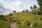 Hiking Trail: Dravuni Island, Fiji