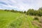 Hiking trail between farm agricultural plots, adult hiker in summer clothes walking with her dog