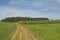 Hiking trail between fields, meadows and forests  in the wallonian countryside