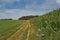 Hiking trail between fields, meadows and forests  in the wallonian countryside