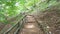 Hiking Trail in the forest