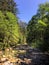 Hiking Trail Franklin Falls North Bend. River stream Washington Cascade Mountains