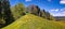 Hiking trail through the freshly blooming dandelions in the Zurich Oberland Bauma. Wonderful spring landscape. Flower