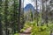 Hiking Trail in Glacier National Park