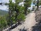 Hiking trail in the Great Basin National Park, Nevada