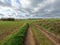 Hiking trail through the green fields in the late autumn in the Dordogne