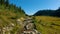 Hiking Trail with Green Trees in Canadian Mountain Landscape.