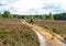 Hiking trail in the heathland