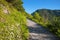 Hiking trail at herzogstand mountain, to the summit, landscape upper bavaria