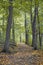 Hiking Trail at High Cliff State Park, Sherwood, Wisconsin