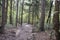 Hiking trail, Hocking Hills State Forest