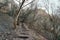 Hiking trail in hungary part of the hungarian national blue trail with basalt columns on the Saint George hill