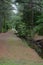 A hiking trail in Janes Island State Park