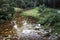 A hiking trail at Jubilee Creek, a picnic spot in the Knysna Forest near Knysna, South Africa