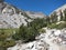 Hiking trail in Kings Canyon National Park