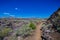 Hiking trail by lava flows at Craters of the Moon National Park