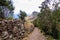 Hiking trail leading to village Taganana. View on Roque de las Animas crag in the Anaga mountain range, Tenerife, Canary Islands