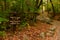 A hiking trail leads to the Flume Gorge