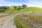 Hiking trail lined up with fresh green grass and colorful wildflowers, Henry W. Coe State Park, California