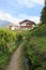 Hiking trail Maiser Waalweg next to irrigation channel, grape vines and mountain panorama near Merano, South Tyrol, Italy
