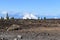 Hiking trail with many green pines near the big famous volcano Pico del Teide in Tenerife, Europe