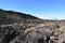 Hiking trail with many green pines near the big famous volcano Pico del Teide in Tenerife, Europe