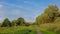 Hiking trail through a meadow with trees and shrubs Flemish countryside