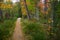 Hiking Trail Through Michigan Autumn Forest