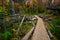 Hiking Trail Through Michigan Forest In Autumn