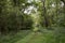 Hiking trail on Middle Island