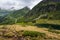 hiking trail on a mountain lake with cows on a meadow