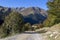 Hiking trail in mountain landscape with green forest, the Ossau Valley in the French Pyrenees, Europe