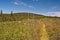 Hiking trail on mountain meadow in summer Jeseniky mountains