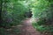 Hiking Trail on mountain in New Hampshire