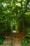 Hiking trail in the mountain woods around lake Faaker See in Carinthia, Austria, Europe