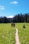 Hiking trail. Mt Rainer, Washington