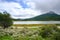 Hiking trail in National Park Tierra del Fuego, Paseo de la Isla, Patagonia, Provincia de Tierra del Fuego, Argentina