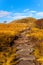 Hiking trail in Norway