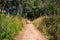 Hiking Trail Oahu Hawaii