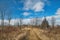 A hiking trail passes through a field and a forest of bare trees at Lion\\\'s Den Gorge, near Grafton.