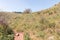 The hiking trail passes near the river Tabor, in the Galilee, near the Afula city, in northern Israel