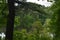 Hiking trail photo through the trees to se the waters in Houghto