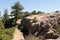 Hiking trail on the rim of the Black Canyon with tree and rocks