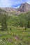 Hiking Trail into the Rocky Mountains, USA