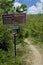 Hiking Trail on Saint John Island, USVI