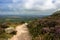 Hiking trail. Scottish beautiful scenery.